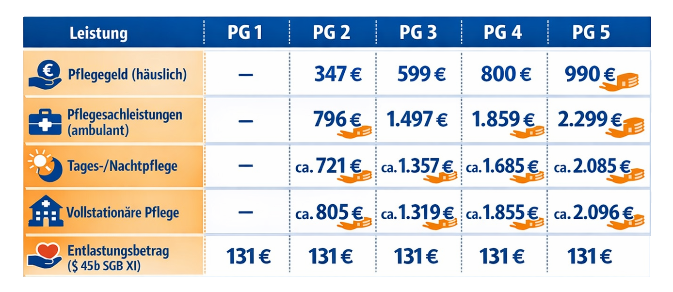 pflegegrade Pflegegrade